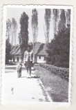 Bnk foto - Ploiesti - Parcul Bucov - 1975, Alb-Negru, Romania de la 1950, Cladiri