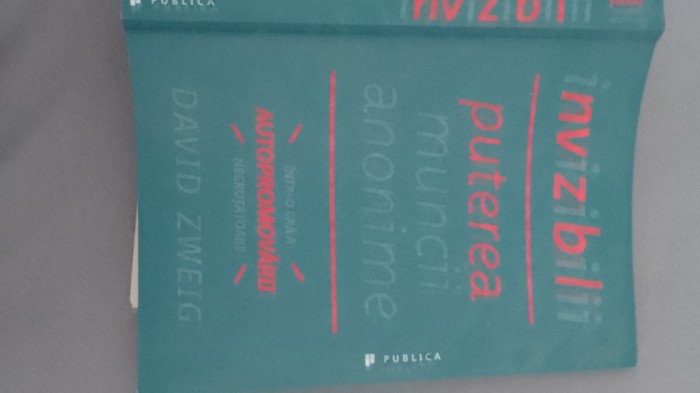 David Zweig - Invizibilii