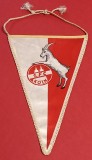 Fanion fotbal - FC KOLN (Germania)