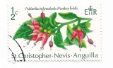 St. Christopher, Nevis, Anguilla - Flora indigena, 1971 - 1/2 C, obliterat