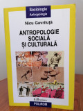 Nicu Gavriluță, Antropologie socială și culturală