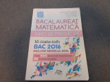 BACALAUREAT MATEMATICA GHID DE PREGATIRE 2016 EDITURA DELFIN CAMELIA MARIA