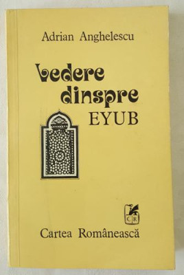 Adrian Anghelescu - Vedere dinspre Eyub foto