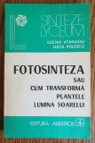 Fotosinteza sau cum transformă plantele lumina soarelui - Lucian Atanasiu