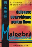 Culegere de probleme pentru liceu: Matematica Algebra. Clasele IX-XII -