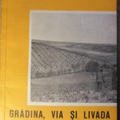 GRADINA, VIA SI LIVADA, REVISTA DE STIINTE SI PRACTICA HORTIVITICOLA, IUNIE 1964-COLECTIV