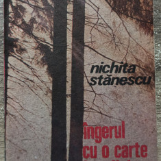 Ingerul cu o carte in maini - Nichita Stanescu