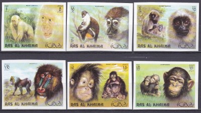 DB1 Fauna Ras al Khaima Maimute 6 v. NDT MNH foto