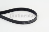 CONTINENTAL CTAM 6PK948 Curea transmisie cu caneluri