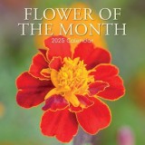 2025 Square Wall Calendar the Month