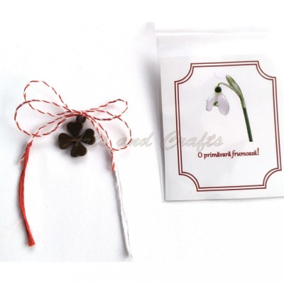 Martisor model aac0163 foto