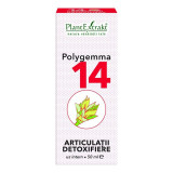 Polygemma 14 articulatii detoxifiere 50ml, Plantextrakt