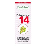 Polygemma 14 articulatii detoxifiere 50ml, Plantextrakt