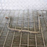 Suport rezervor de combustibil RENAULT MASTER III Furgon FV 2016 OEM: Commercial | 11309951