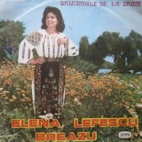 Elena Lefescu Breazu &ndash; Salcamule de la drum