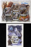 R.COASTA DE FILDES-BUFNITE-1 M/Sh.+ 1 S/Sh. -MNH**-ICO 121