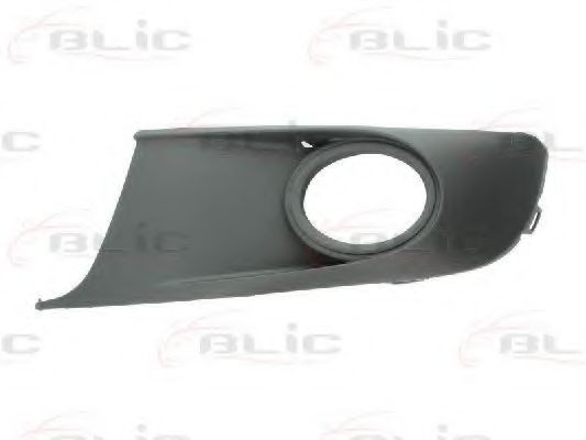 Grila ventilatie, bara protectie VW CADDY III Combi (2KB, 2KJ, 2CB, 2CJ) (2004 - 2016) BLIC 6502-07-9571915P