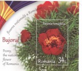 ROMANIA 2023 - BUJORUL, FLOAREA NATIONALA, COLITA NEDANTELATA - LP 2418a stampilata, Flora, Stampilat