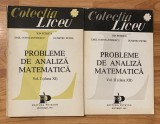 Probleme de analiza matematica de Ion Petrica (2 vol.)