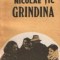 Grindina - Roman