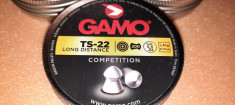 700 alice 5.5 mm - gamo magnum + gamo ts 22 + gamo match foto