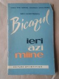 Geo Dumitrescu - Bicazul ieri, azi, m&acirc;ine (1963)