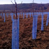 Plasa protectie pomisori 10 cm x 50 m - albastra