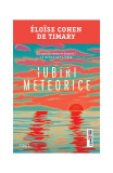 Iubiri meteorice - Paperback brosat - &Eacute;lo&iuml;se Cohen de Timary - Trei