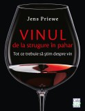 Vinul - de la strugure in pahar. Tot ce trebuie sa stim despre vin