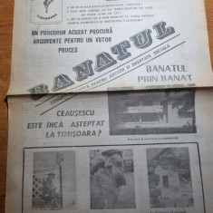 ziarul banatul august 1990 - anul 1,nr. 1 - prima aparitie a ziarului