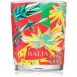BA&Iuml;JA Tangerine Fizz lum&acirc;nare parfumată 75 g