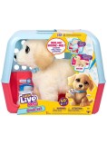Little Live Pets Ouchies (26679)