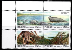 RUSIA 1995, Fauna, serie neuzata, MNH