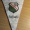 M3 C7B - Tematica sport - Fotbal - Polonia - Legia Varsovia