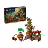 LEGO Harry Potter Plante pentru ora de ierbologie de la Hogwarts, 817 piese