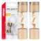 Set 2 sigurante din sticla tip AGU, contacte aurite, 50A