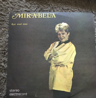 Vinil 2 Vinyl Electrecord Mirabela foto