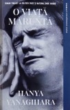 O viata marunta - Hanya Yanagihara (putin uzata)
