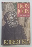 IRON JOHN , A BOOK ABOUT MEN by ROBERT BLY , 1990
