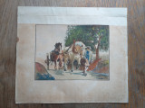 Acuarela- F.wilhelm, cca 1920, acuarela sasa, din zona Sibiului, Animale, Guasa, Realism