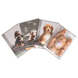 Caiet Design Sweet pets, A5, 36 file, h&acirc;rtie 80gr./mp, copertă carton 300gsm,