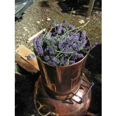 Cazan cu Coloana Distilare Uleiuri Esentiale, Bauturi Aromatice, 60 Litri