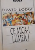 CE MICA-I LUMEA DAVID LODGE