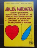 Analiză matematică. Exerciții și probleme pentru elevii claselor XI-XII. Bacalaureat. Admitere - Mădălina-Georgia Nicolescu