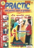 Revista Practic. Idei pentru casa, gradina si apartament, nr.1/2001