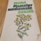GHIDUL PLANTELOR MEDICINALE UZUALE - Florentin Craciun -1988, 240 p.