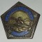 CY - Insigna Distinctie &quot;Campionatul RPR / Kaiac Canotaj / 1962 / Locul III 3&quot; Alama argintata &amp; Email / Stare! Patina deosebita! 3 cm x 3 cm RARA