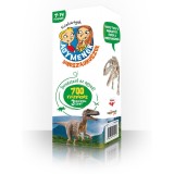 Agymenők kv&iacute;zk&aacute;rty&aacute;k - Dinoszauruszok - 7-14 &eacute;veseknek