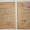 LOT 2 documente 1941 1945 Comisariatul de Politie Alexandria + Certificat cazier