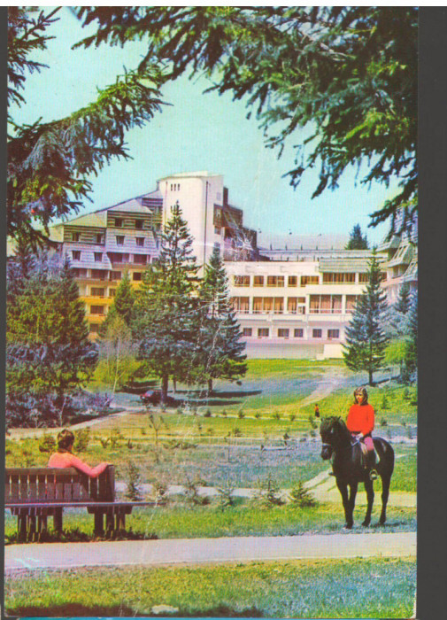 CPIB 19251 CARTE POSTALA - POIANA BRASOV, CAL